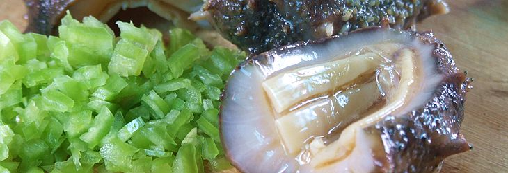 ��Ƥ�uס��