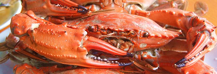 �L(zh��ng)���h��Ƥ�u