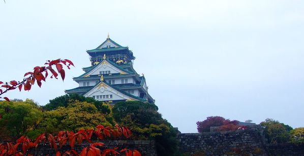 �ձ�����