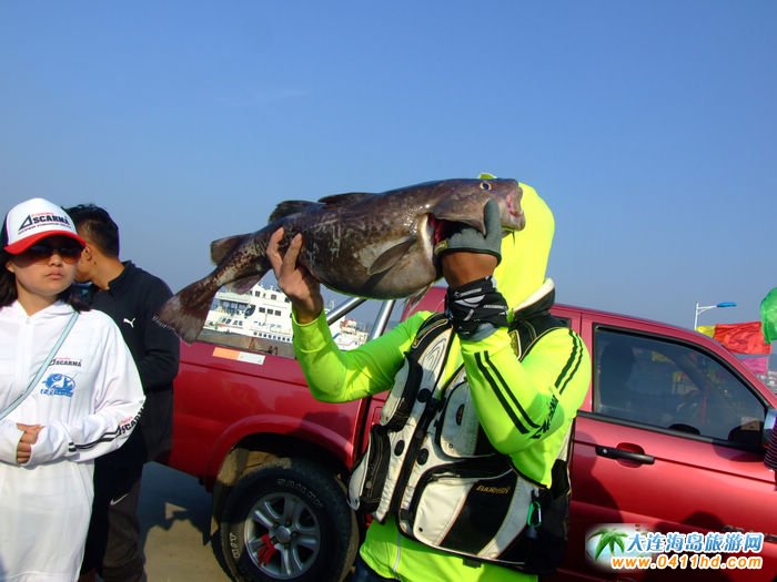  2016��Ӎu���~�������L(f��ng)��D�� 