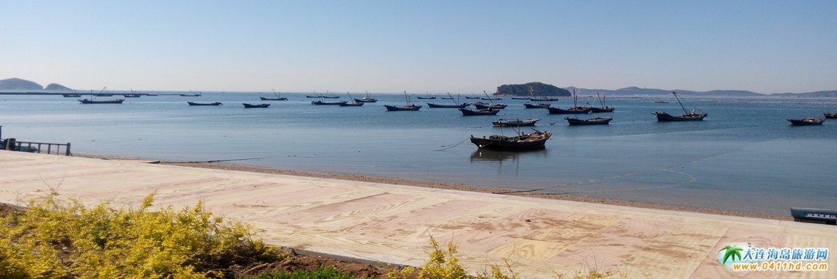 ���ɍu�˾Ӷȼٴ�