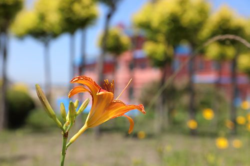 ���B�L�d�u�F�e�ǶȼپƵ�