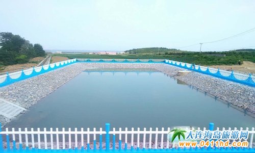 �P�Q�uʳ�R�r(n��ng)��