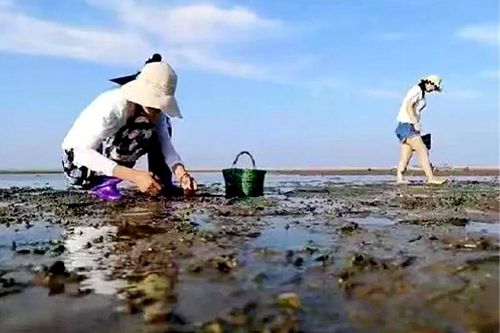 �P�Q�u�һ���޶ȼٴ�