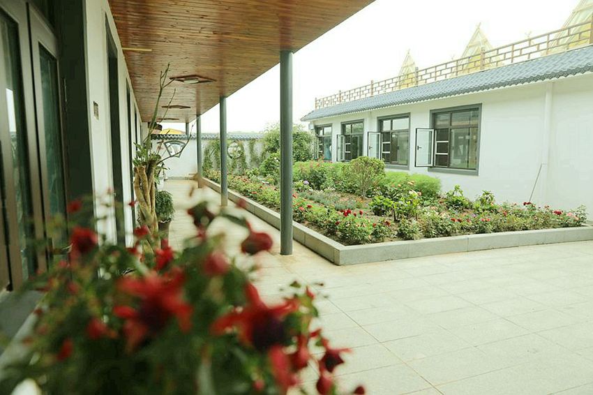 �P�Q�u����