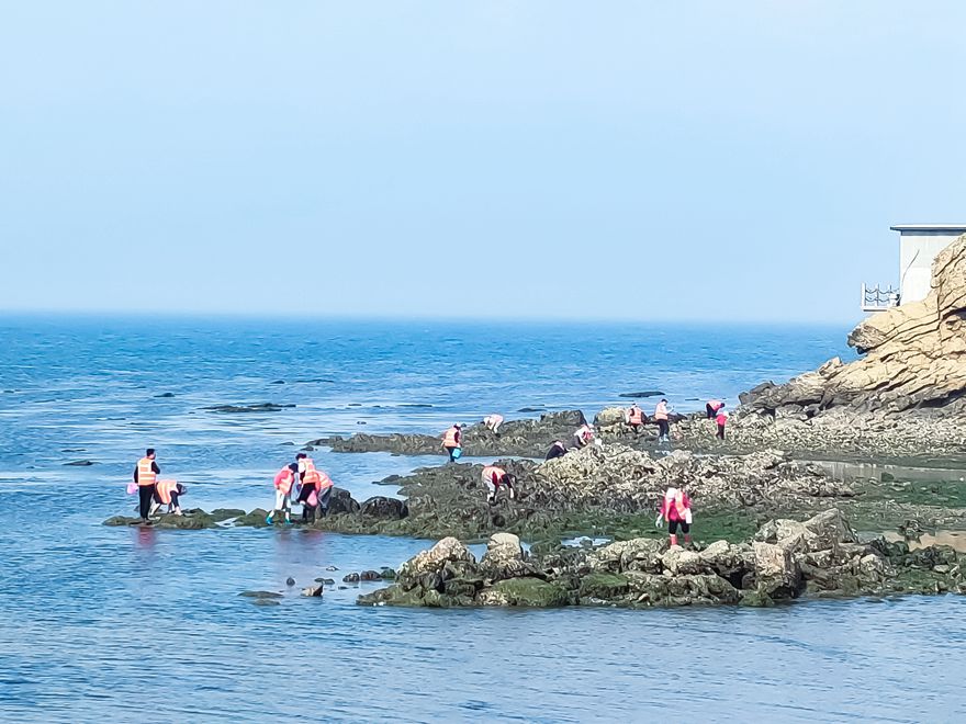 �P�Q�u����