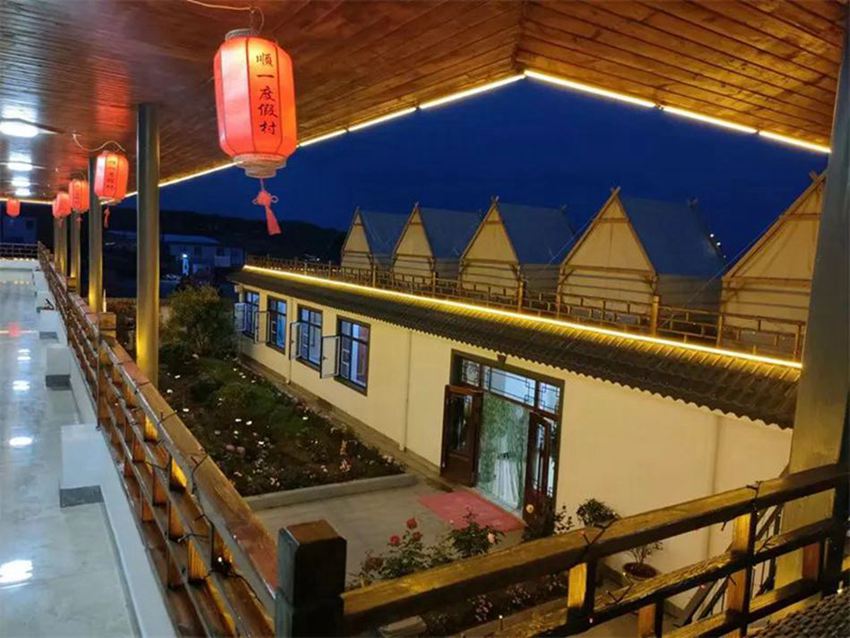 �P�Q�u���޾Ƶ�