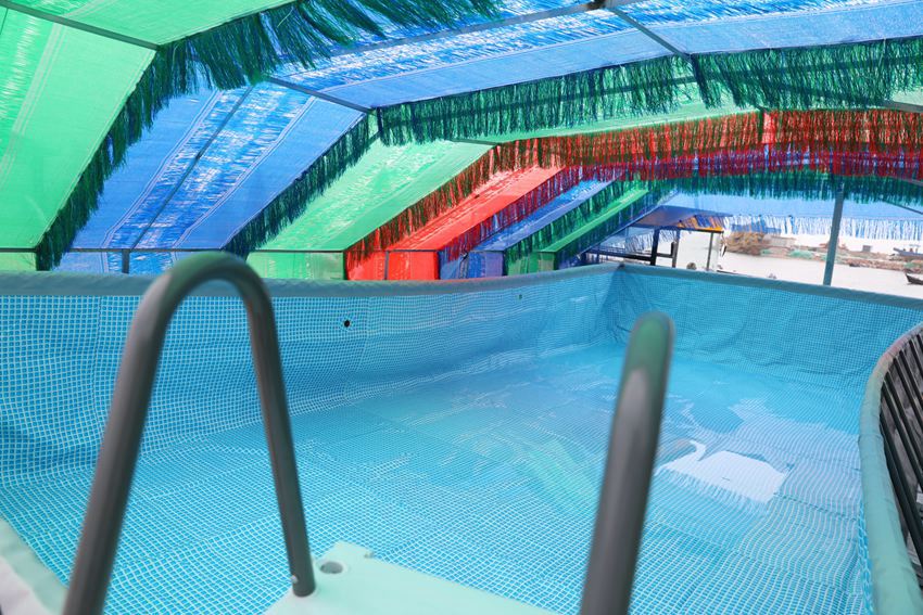 �P�Q�u���޾Ƶ�