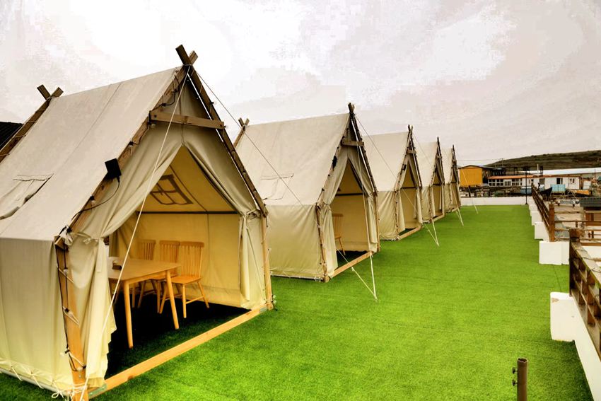 �P�Q�u���޾Ƶ�