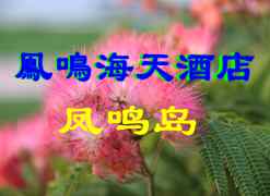 �P�Q�u����Ƶ�,�P�Q�u�Ϯ�(d��ng)ǰΨһ�����Ǽ�(j��)�ߙn�Ƶ��e�^