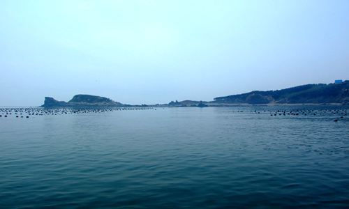 �O�Ҙ��@9̖-�̺��ž�