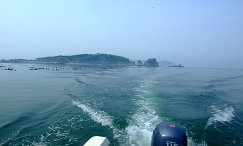 �O�Ҙ��@9̖-�̺��ž�