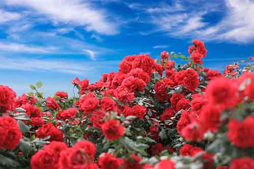 �����ōu��֮�ٶȼٴ�