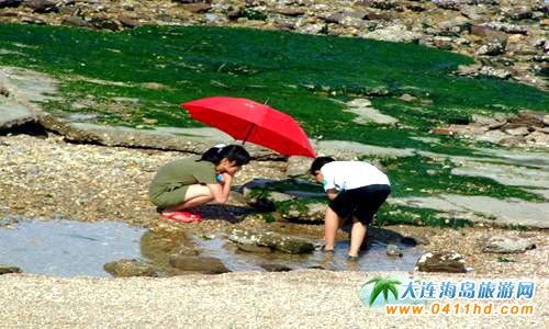 ���ɍu�����ȼٴ�