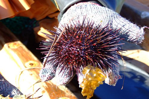 ���ɍu���־��O��