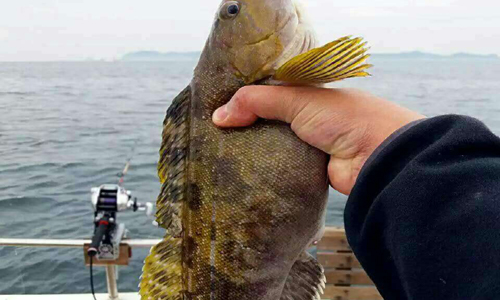 ���ɍu�����ȼٴ�