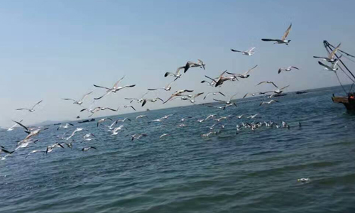 ���ɍu�����ȼٴ�