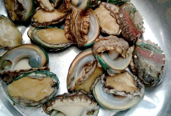 ���ɍu�O�Ҙ�