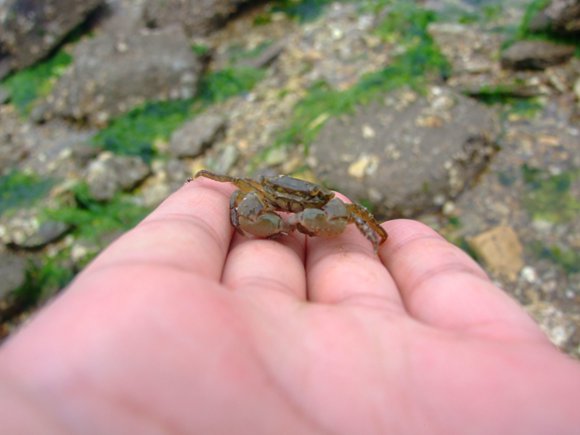 ���ɍu���־��O�Ҙ�