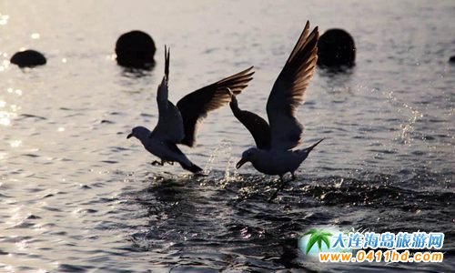 С�Lɽ�u�������ȼٴ�