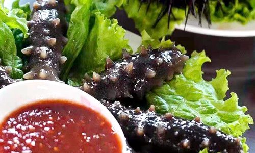 С�Lɽ�u�y�����e�͗�