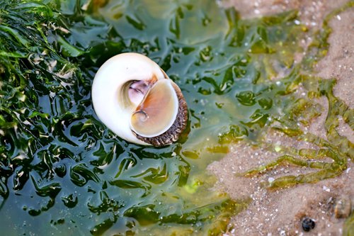 ���Ѝu�A�����������Ƕȼٴ�