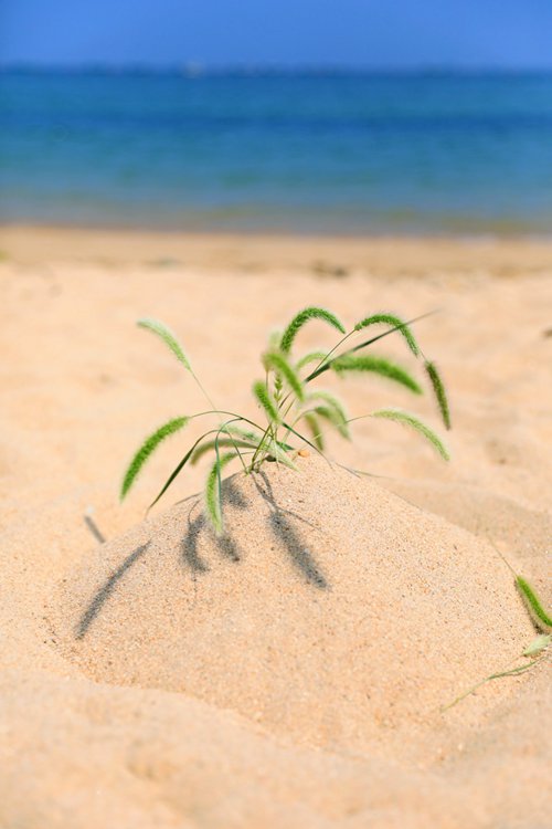 ��ў�u�f��СԺ