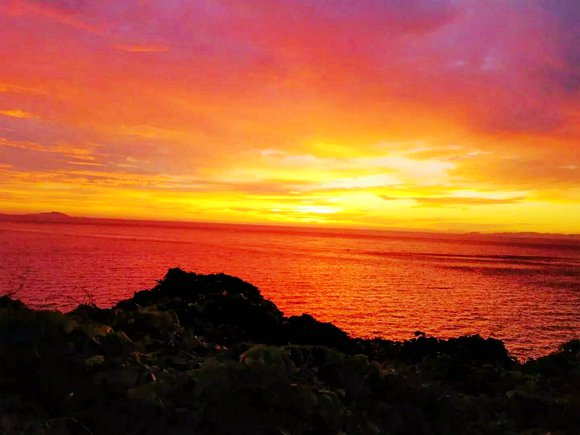 ��Ӎu�O�Ҙ�