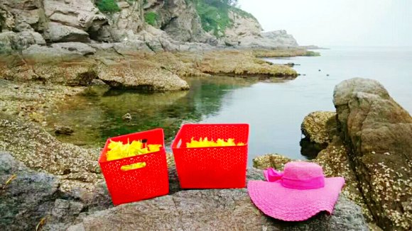 ��Ӎu�O�Ҙ�