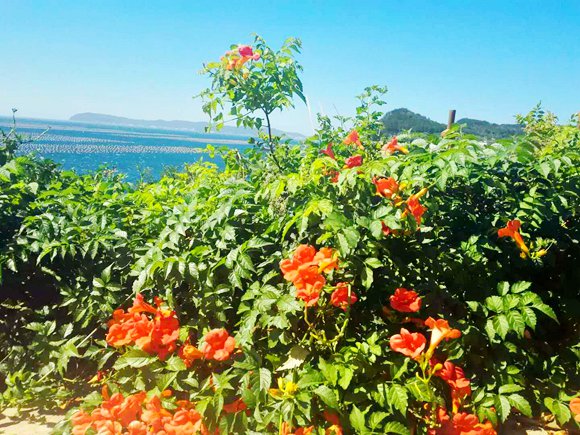 ��Ӎu�O�Ҙ�