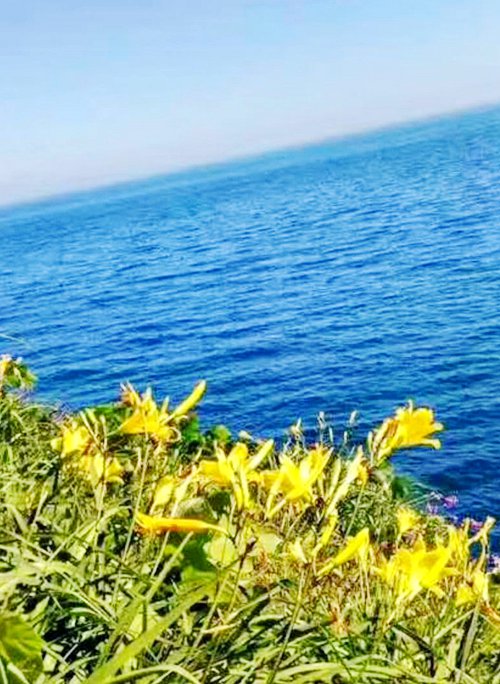 ��Ӎu�O�Ҙ�