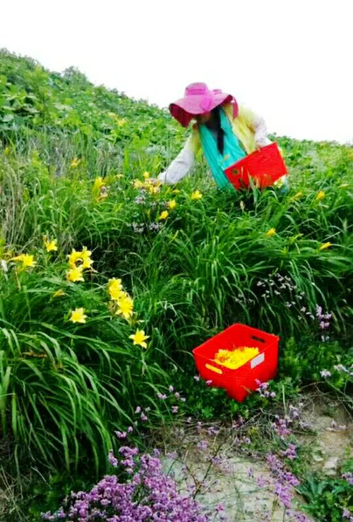 ��Ӎu�O�Ҙ�