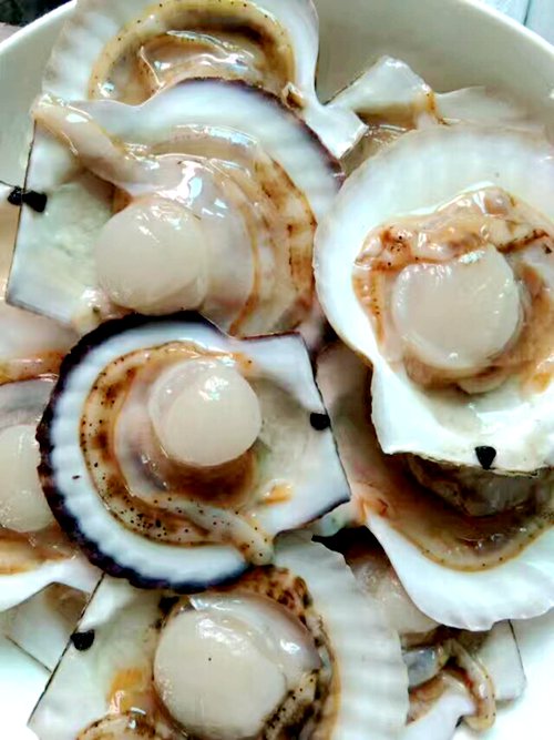 ��Ӎu�O�Ҙ�