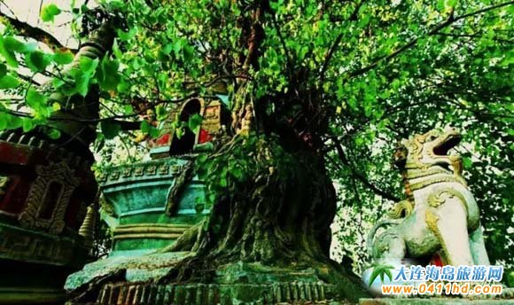 �о�߅�������DƬһ�[