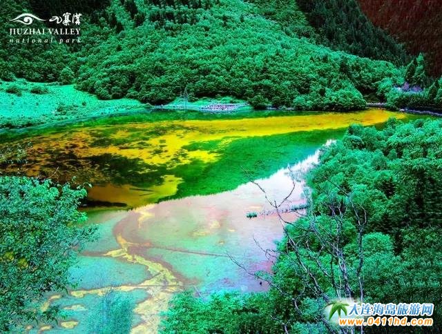 ����ľ�կ�ϣ��ȴ����ĵ���