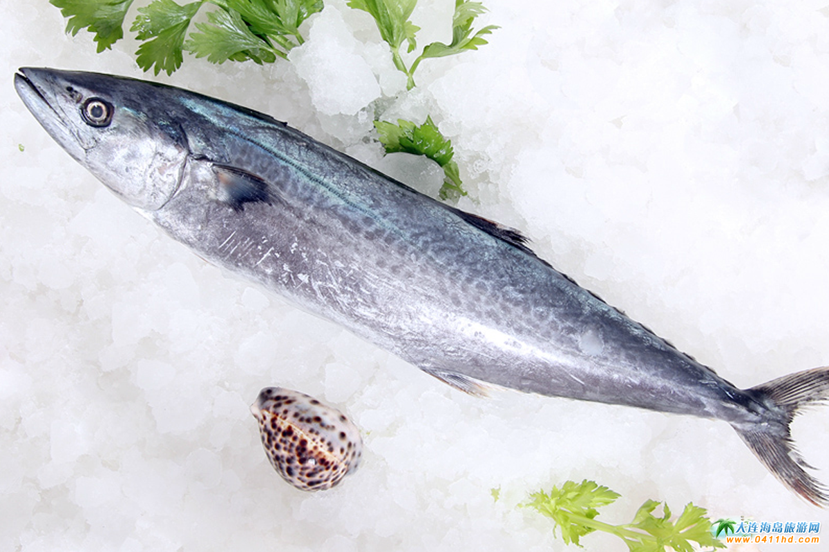 �L���h��Ӎu������ʺ��r���Է�����