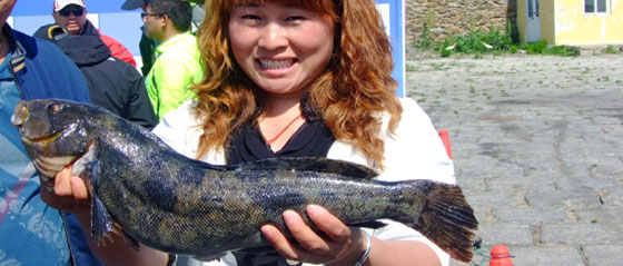 ��~�W(w��ng)