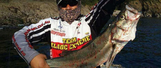 ��~�W(w��ng)