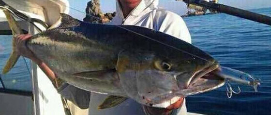 ��~�W(w��ng)