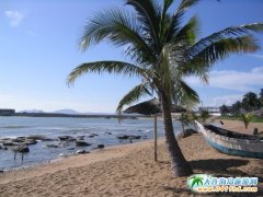 ���B�������_����֧�ލu����6��