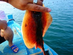 ���ɍu���~(y��)���S��