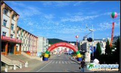 2010��Ӎu������,���B����Ӎu������