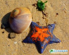 ��߅�ĺ���