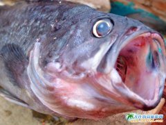 2008��~��(ji��)�еđ�(zh��n)�r