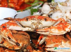 ��Ƥ�u�Õr��O�҈DƬ��