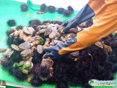 �DƬ����,��Ӎu�ɲ��U�~�ͺ�đ