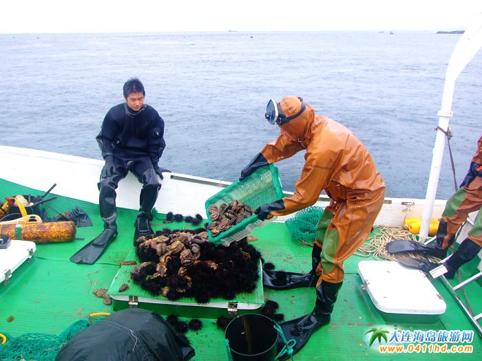 ��Ӎu����Ʒ�������