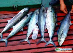 ��Ӎu����~�DƬ