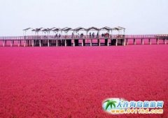 �P(p��n)�\�t����,������Ȫ