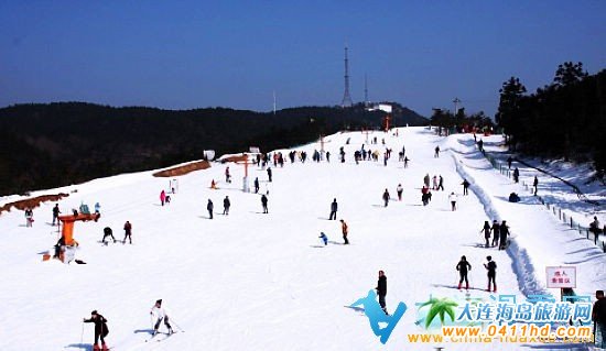 ��������ѩ��